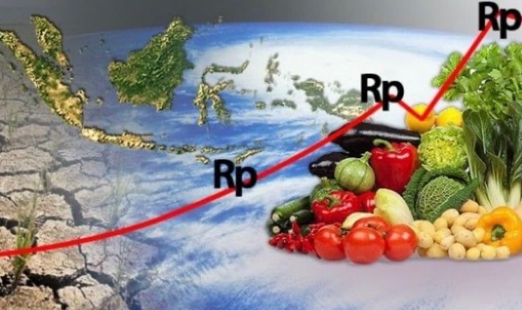 Cabai dan Ayam Jadi Penyumbang Utama Inflasi, Pemda Harus Kendalikan Harga Pangan!