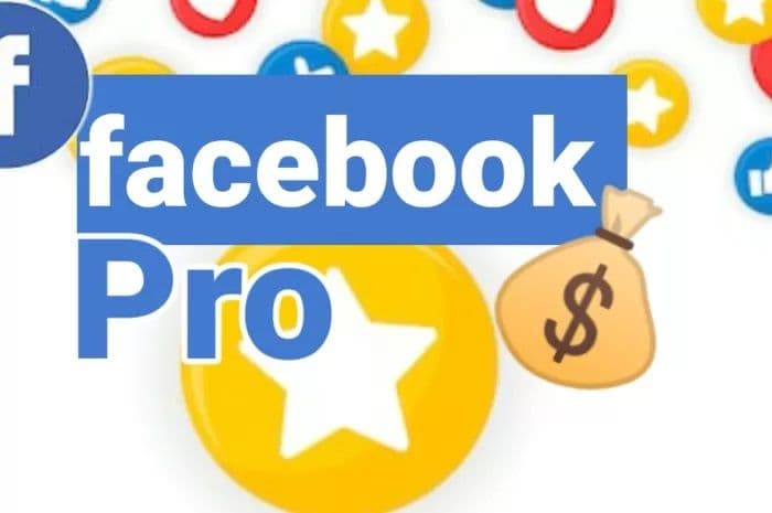 Kreator Konten Pemula Wajib Tahu! Inilah Perbedaan Facebook Biasa dan Facebook Pro