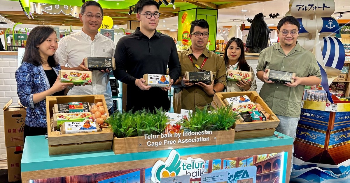 Mengenal Sistem Peternakan Ayam Bebas Sangkar dan Cara Produksi Telurnya