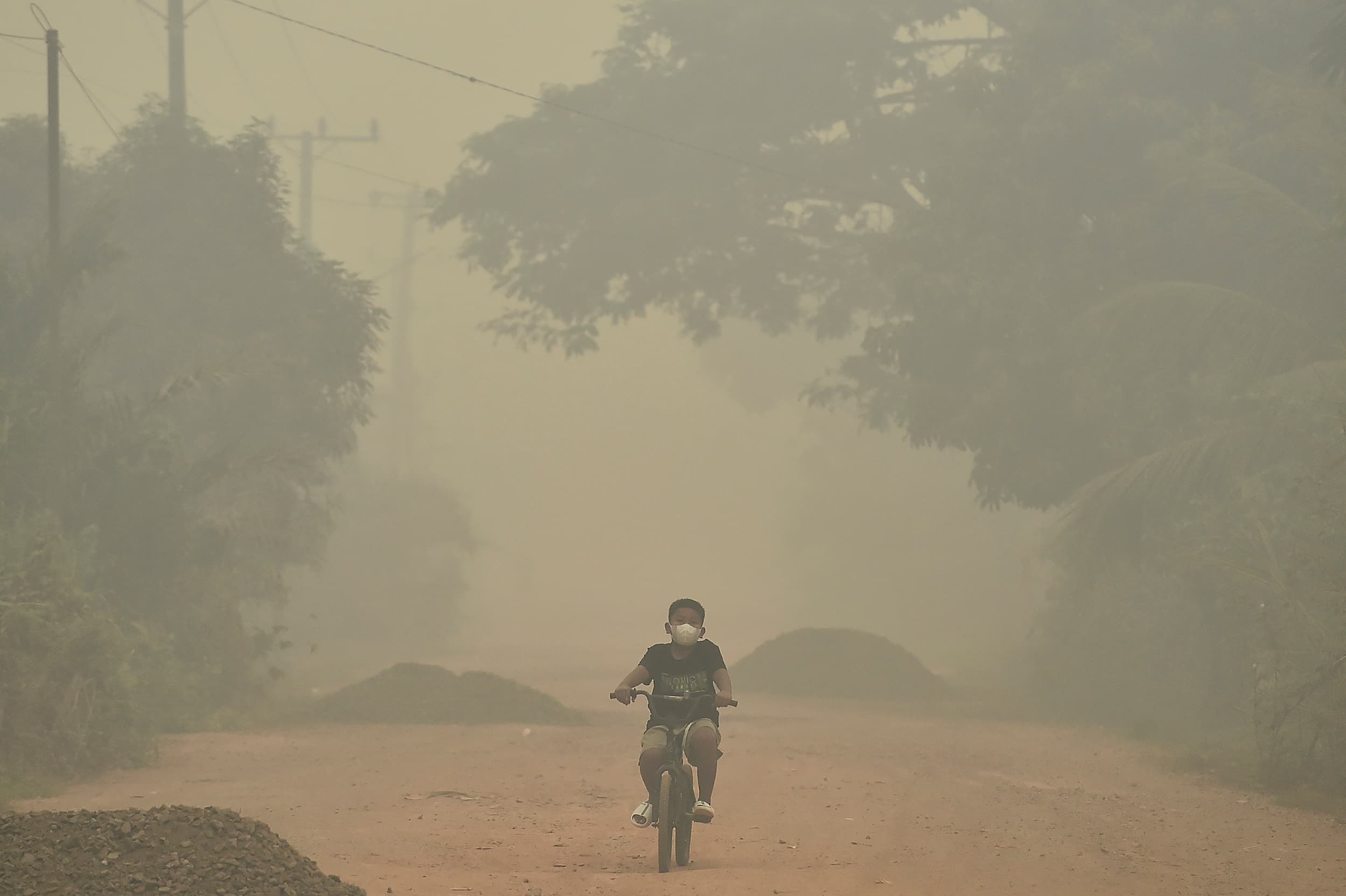 Pengendara melintasi Jembatan Berbak yang diselimuti asap kebakaran hutan dan lahan (karhutla) di Kelurahan Simpang, Berbak, Tanjung Jabung Timur, Jambi, Jumat (16/10/2026).ANTARA FOTO/Wahdi Septiawan/sgd