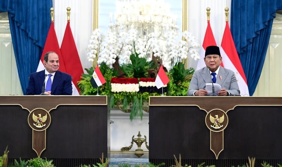 Indonesia dan Mesir Tegaskan Solusi Dua Negara Kunci Perdamaian Palestina