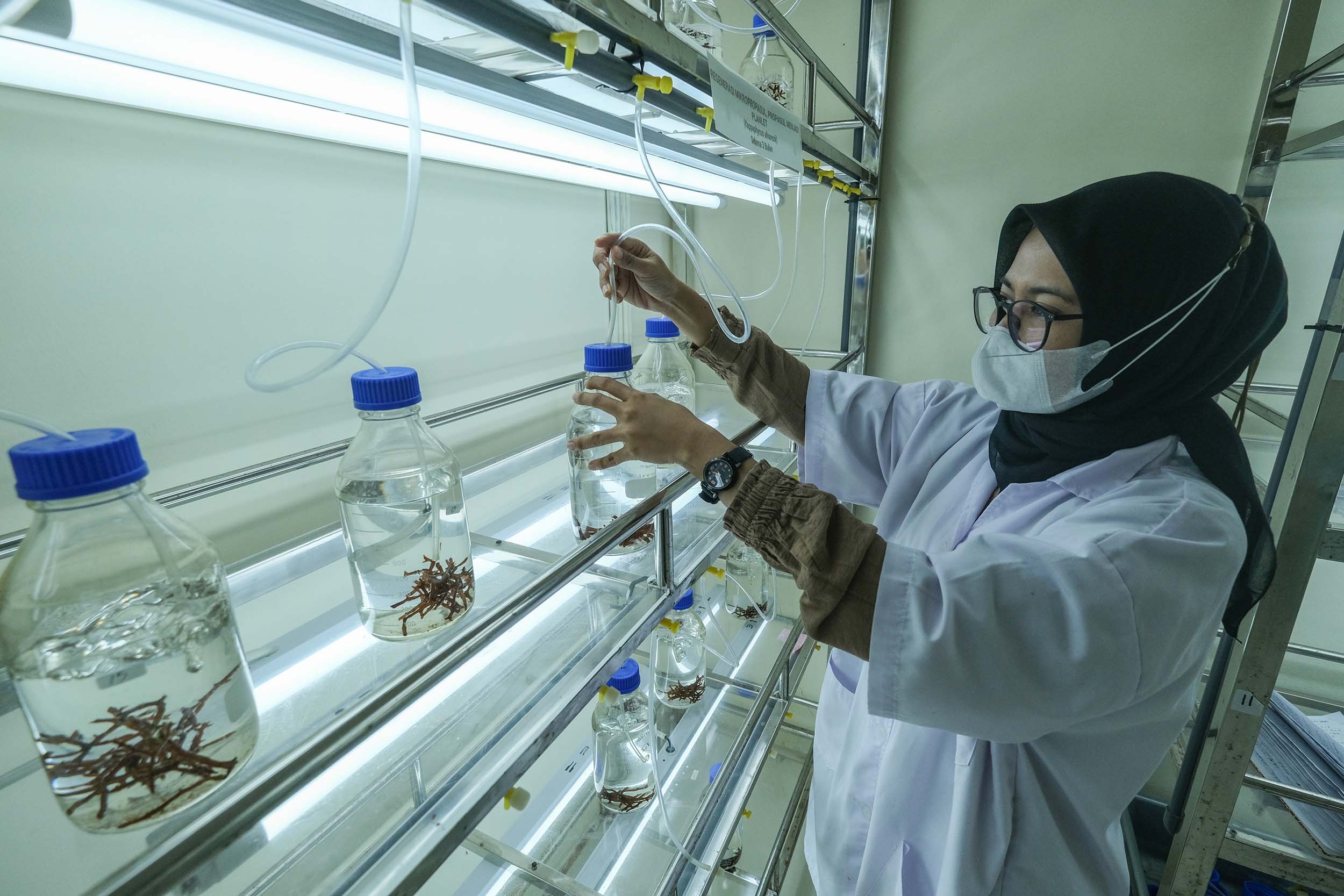 Laboratorium Pembudidayaan Rumput Laut di Wakatobi