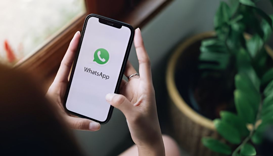 WhatsApp Siapkan Paket Premium 'WhatsApp Plus', Ini Fitur yang Kemungkinan Hadir