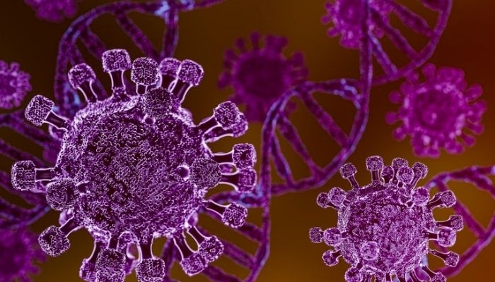 Gejala Hantavirus Mirip DBD dan Tifus, Ini Cara Membedakannya