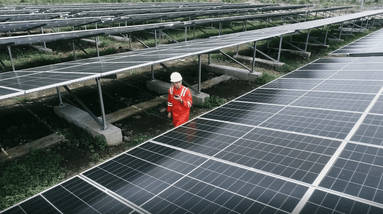 PLN Indonesia Power Lebarkan Sayap ke Amerika Latin, Bidik Energi Hijau