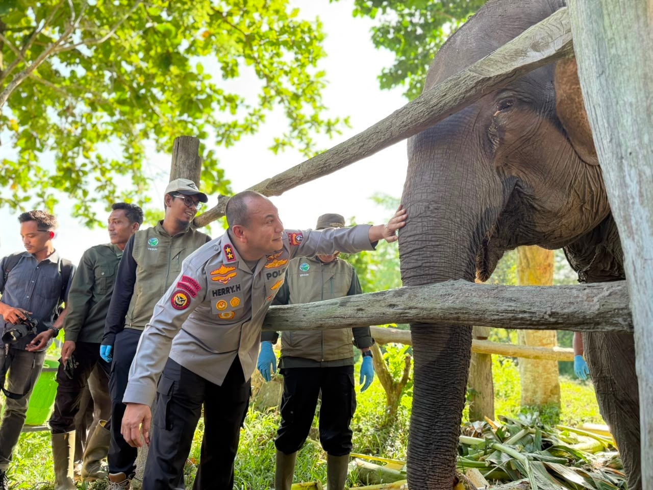 Kapolda Riau Namai Anak Gajah Tesso Nilo ‘Nona Seroja’, Simbol Harapan Baru Konservasi