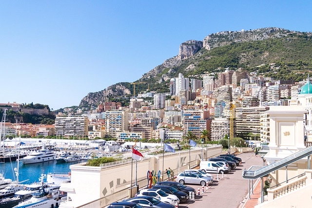 Interpol Terbitkan Red Notice untuk Wanita Ukraina, Diduga Dalang Bom yang Targetkan Miliarder di Monaco