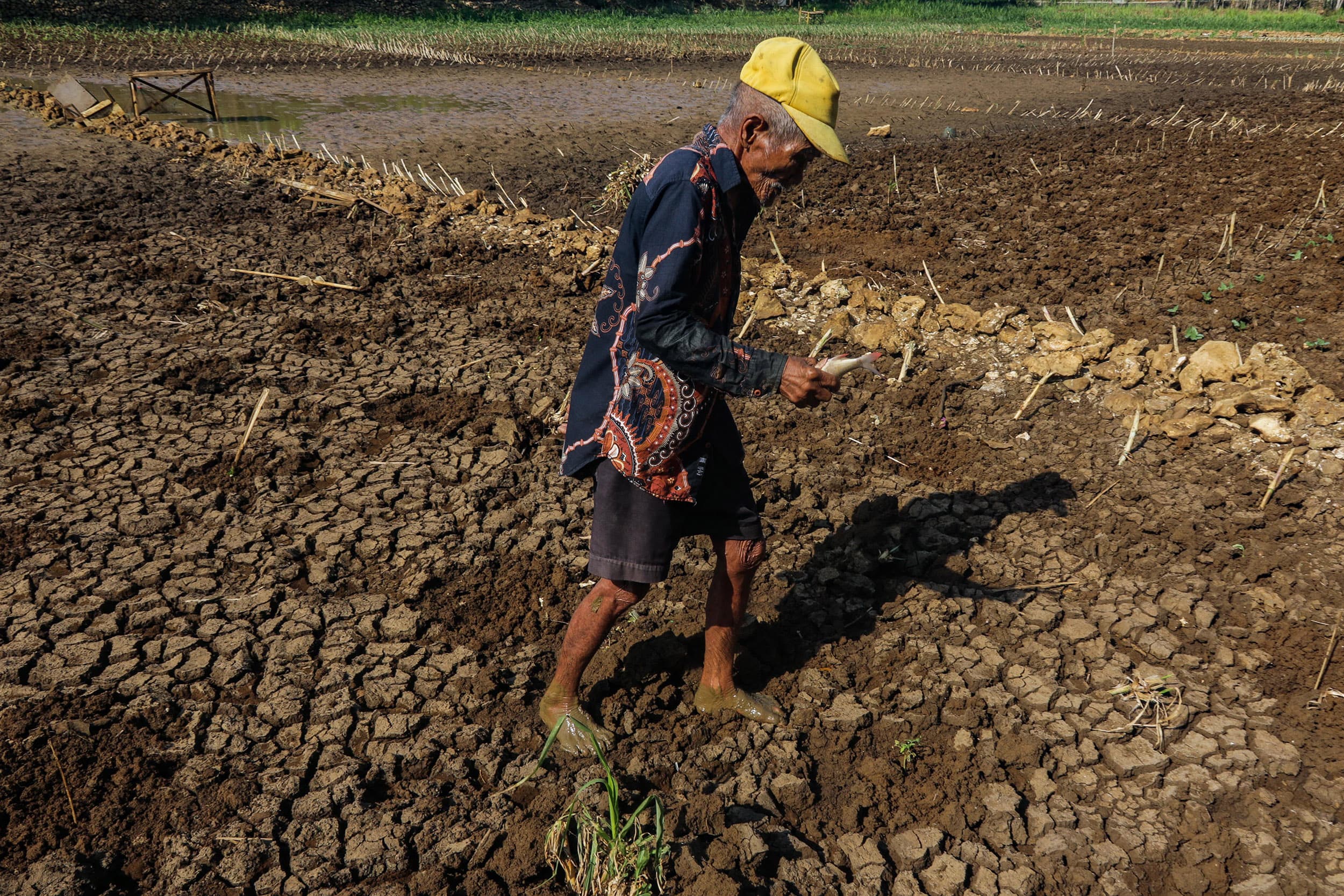 Pemerintah Antisipasi El Nino, Fokus Jaga Pasokan Air dan Cegah Karhutla
