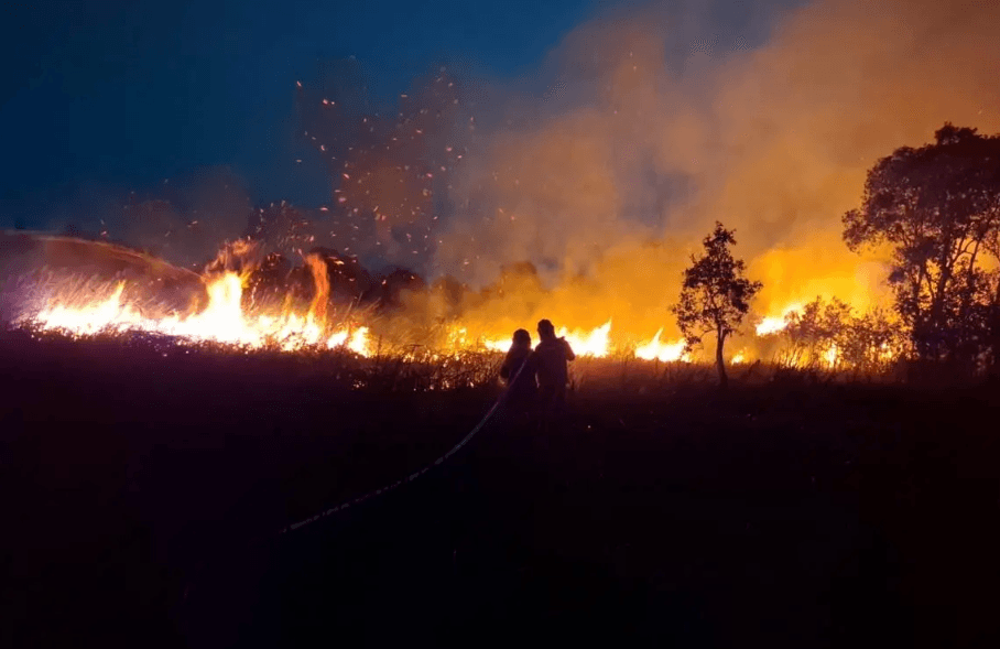 Tak Hanya Kalimantan, BNPB Perkuat Operasi Udara di Enam Provinsi Prioritas Terdampak Karhutla