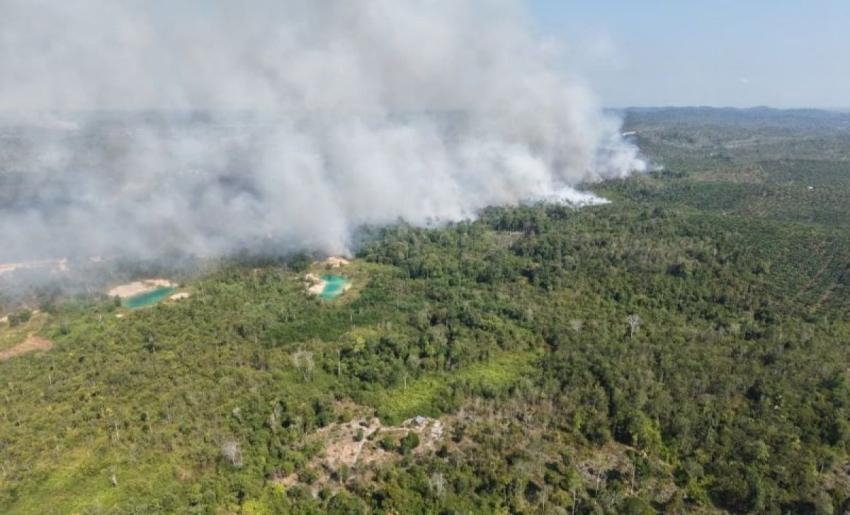 Ada Apa di Balik Karhutla Tahura Bukit Soeharto? OIKN Ungkap Temuan di Lapangan