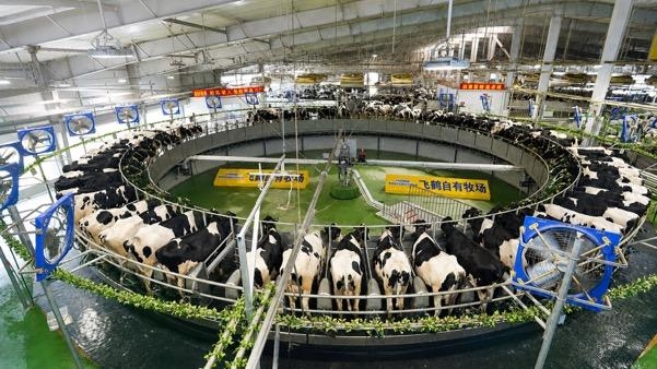Orang Tua Perlu Cek Sumber Susu Formula, Bukan Hanya Kemasan