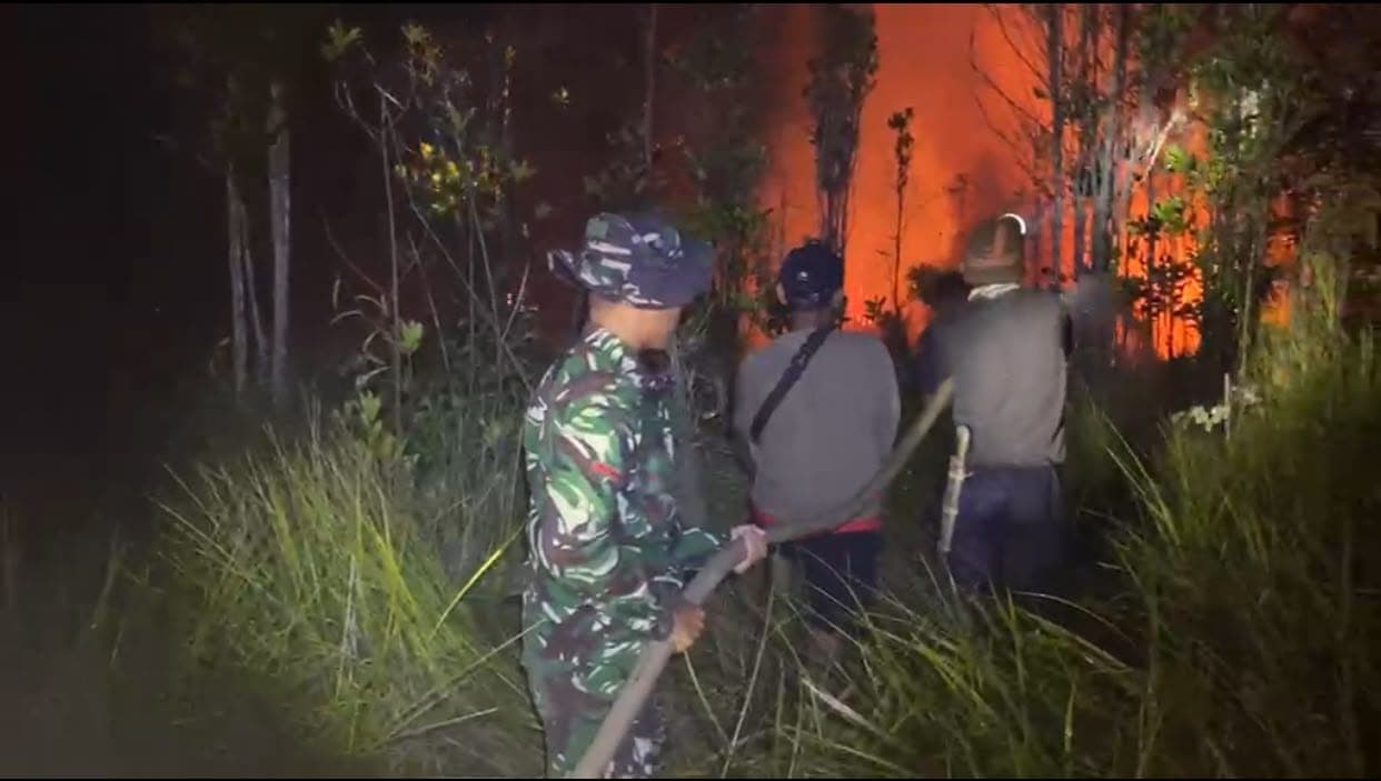 Pemerintah Berharap Hujan Membantu Penanganan Karhutla