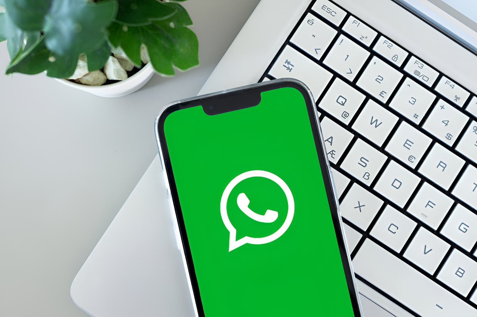WhatsApp Tambah Fitur Kendali Orang Tua untuk Akun Remaja