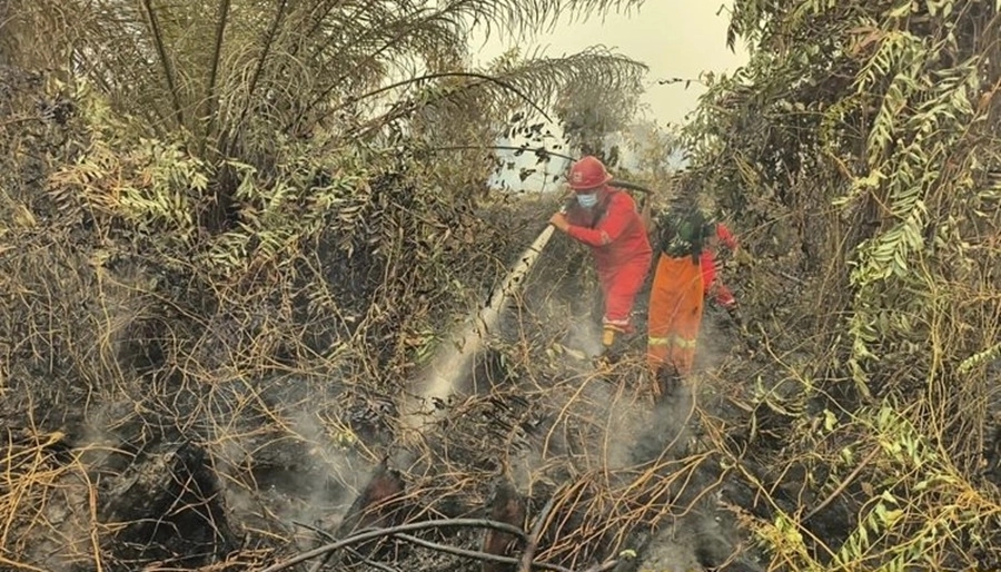 Cairan Ajaib dari Brasil Bantu Padamkan Karhutla