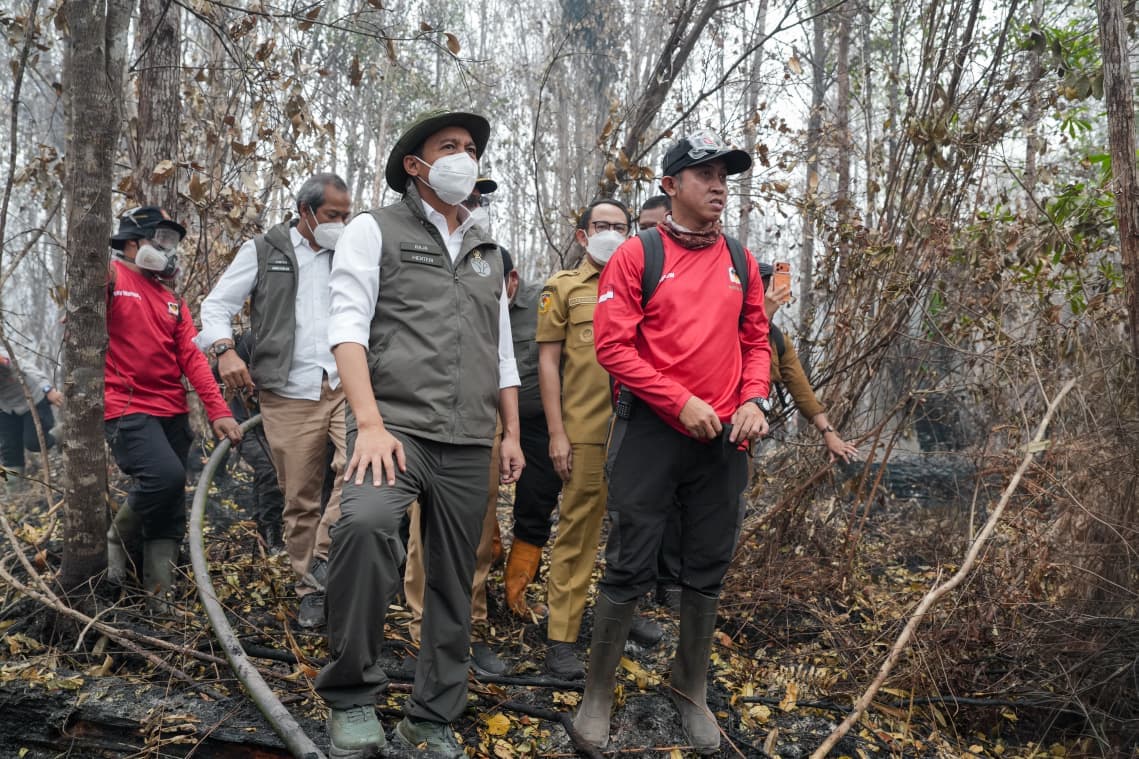 Menteri Kehutanan Raja Juli Antoni meninjau lokasi kebakaran di Taman Nasional Sebangau, Palangka Raya, Kalimantan Tengah, Selasa (13/10/2026).