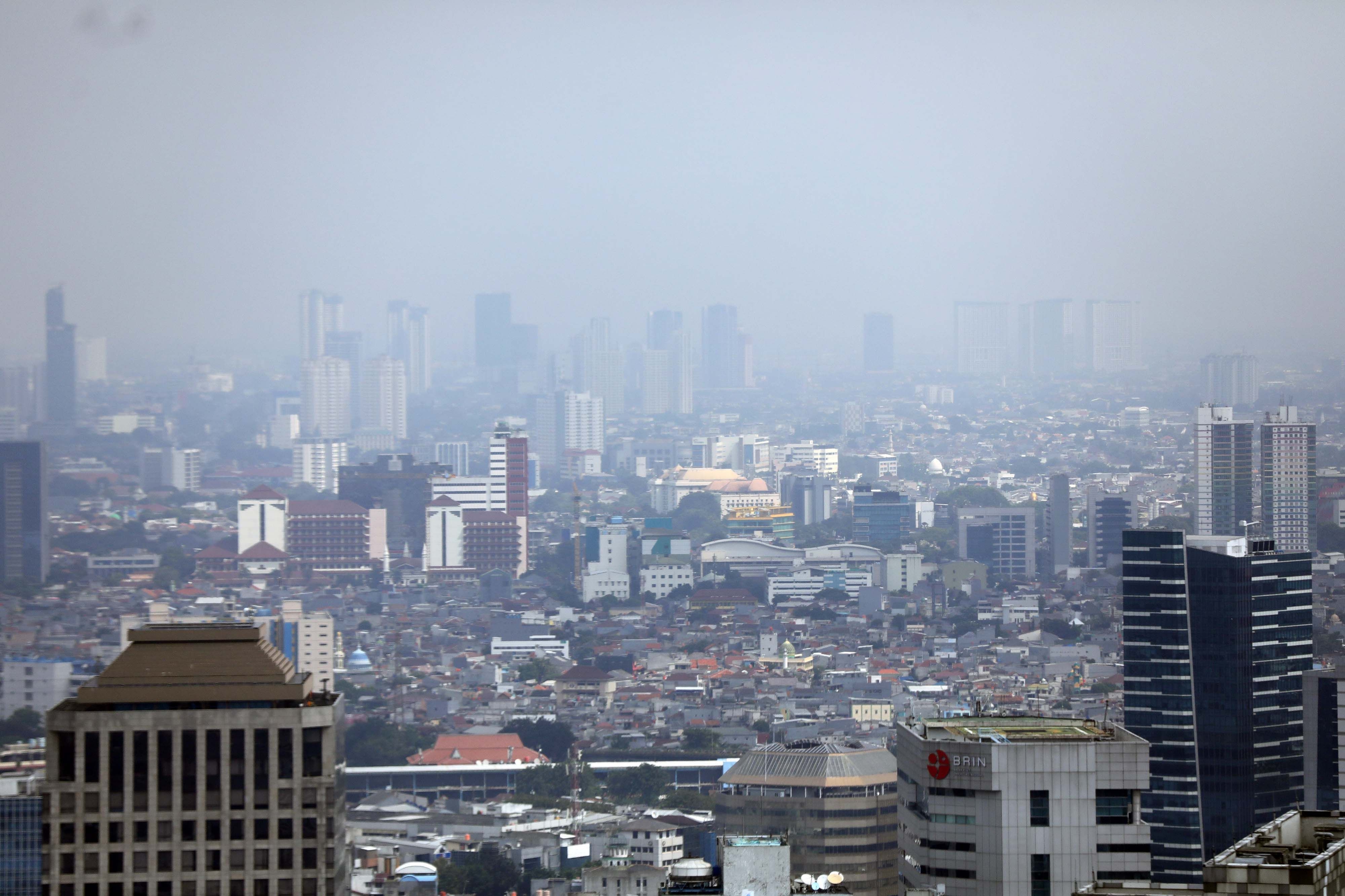 Mengapa Kabut Muncul di Pagi Hari
