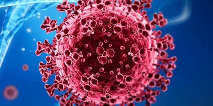 5 Anak Meninggal karena Flu Babi, Kemenkes Tegaskan Darurat Perbaikan Kesehatan Lingkungan