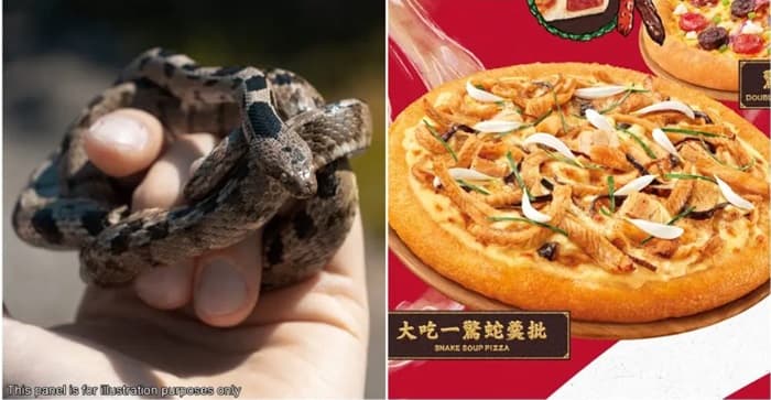 Diyakini Banyak Khasiat, Pizza Hut Hong Kong Luncurkan Pizza Ular
