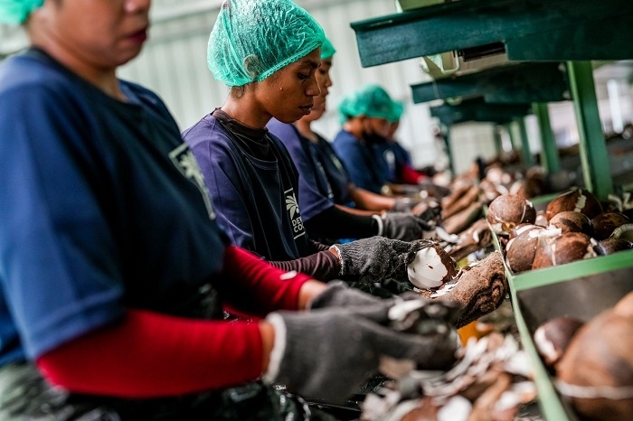 Konsep Tingkat Produksi Optimum dalam Jangka Pendek dan Jangka Panjang. Apa yang Membedakan antara Keduanya dalam Hal Faktor Produksi