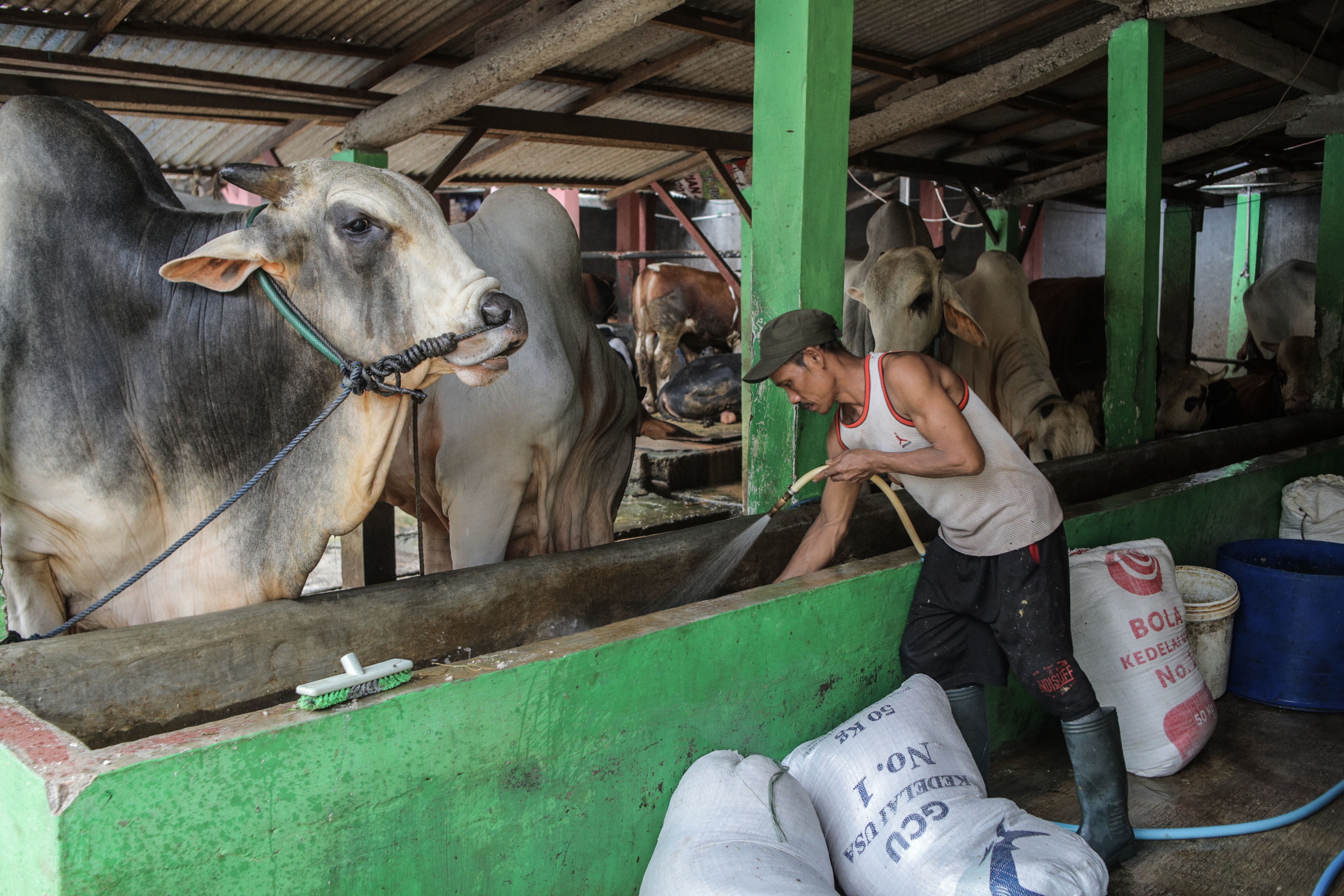 Menghindari Pemakaian Barang-Barang yang Sekali Pakai Lalu Buang Merupakan Prinsip Apa?