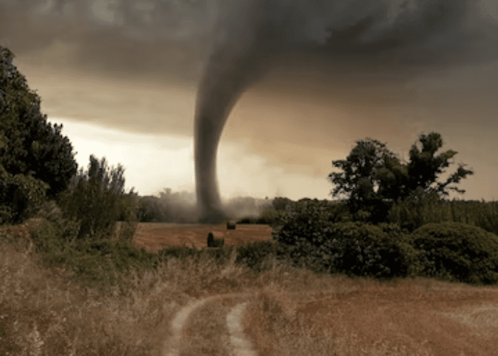 Puting Beliung Kemang Bogor Rusak 55 Rumah, Sayap Pesawat Terbang hingga Timpa Warga