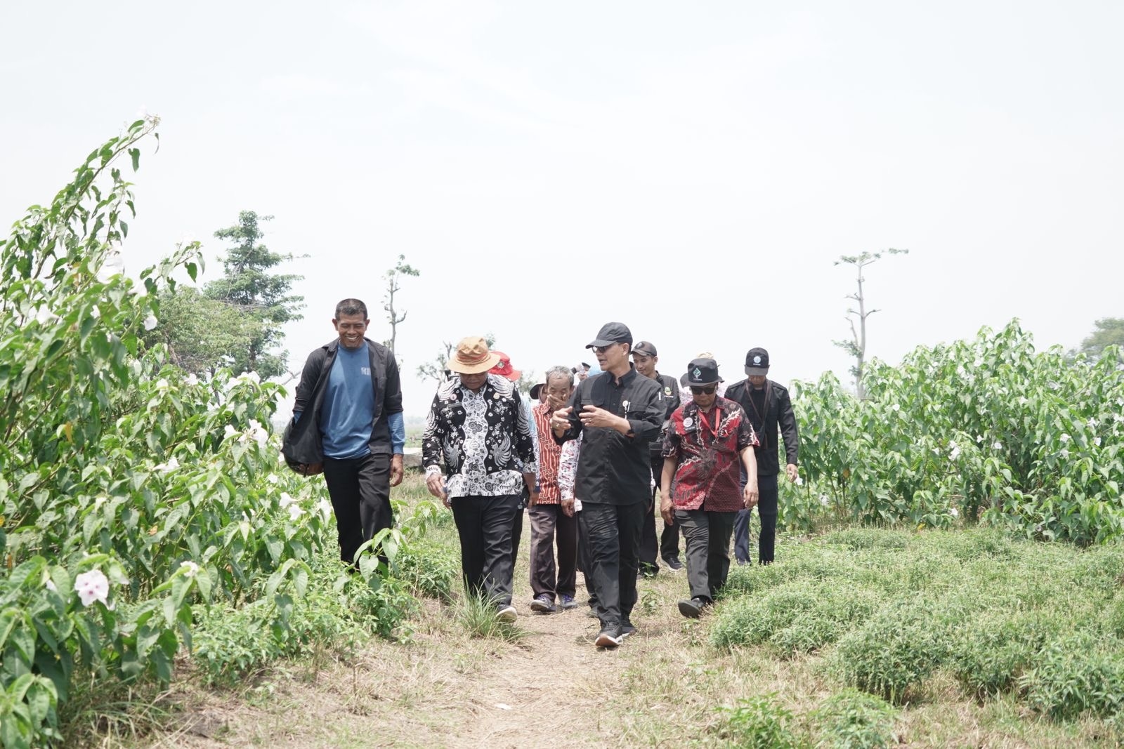 Kementan Cek Ketersediaan Sarana dan Prasarana Pertanian di Indramayu-Cirebon