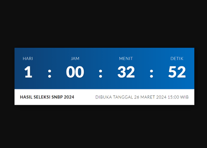 HASIL Pengumuman SNBP 2024 Diumumkan 26 Maret, Begini Cara Cek Hasil dan 38 Link Mirrornya