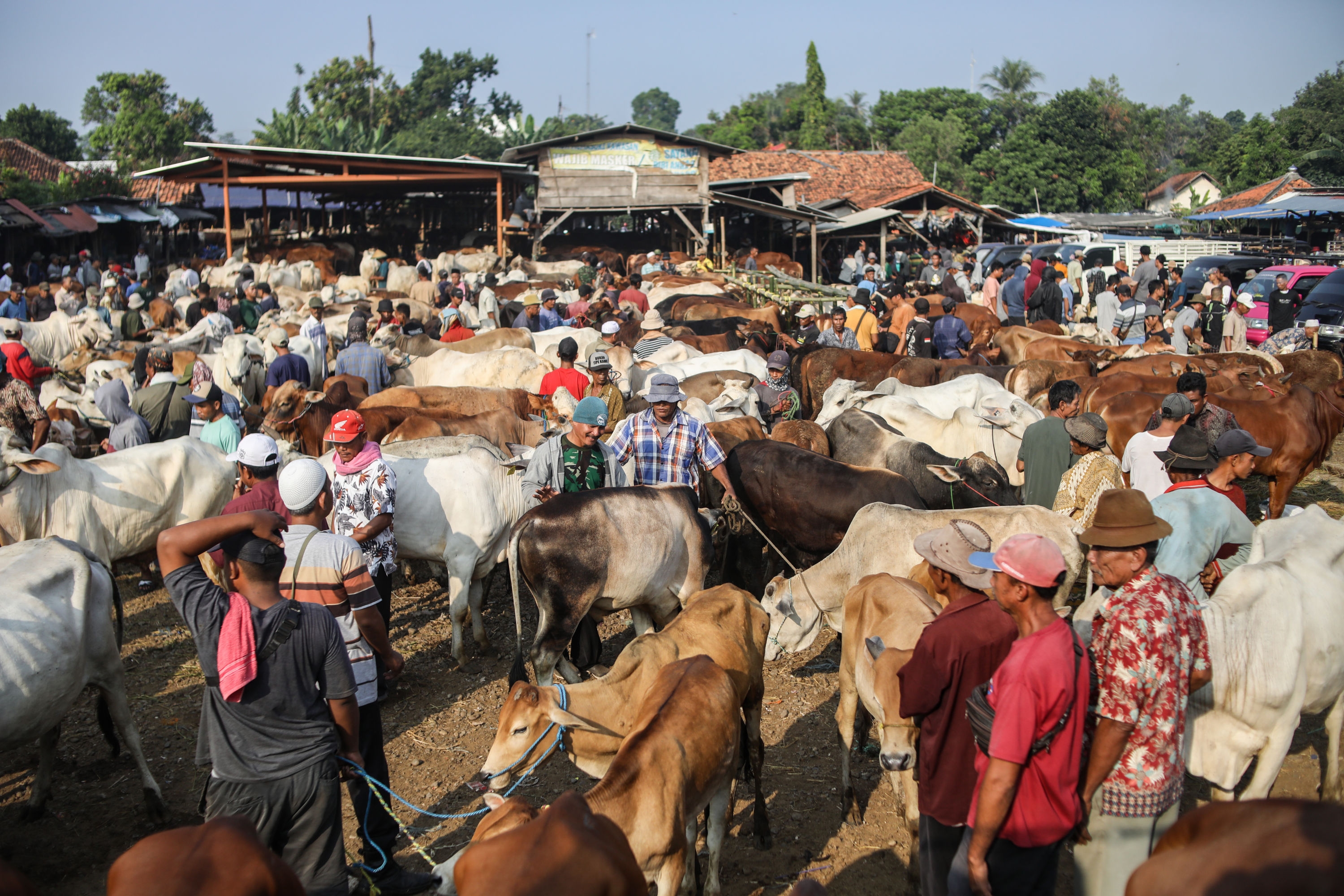 12 Ide Bisnis Musiman di Iduladha 2024