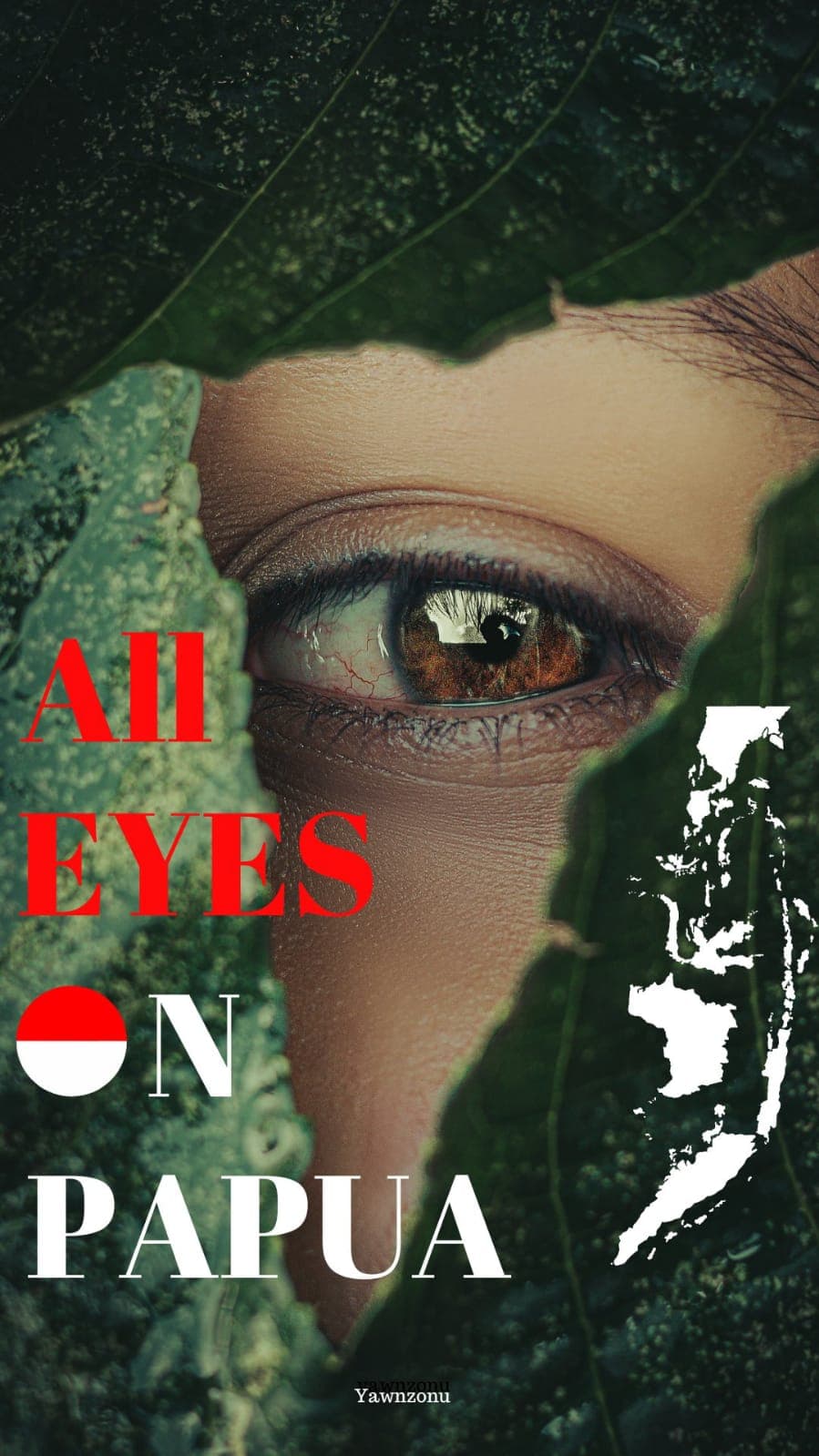 Apa Itu Suku Awyu dan Bagaimana Kaitannya dengan Seruan All Eyes on Papua?