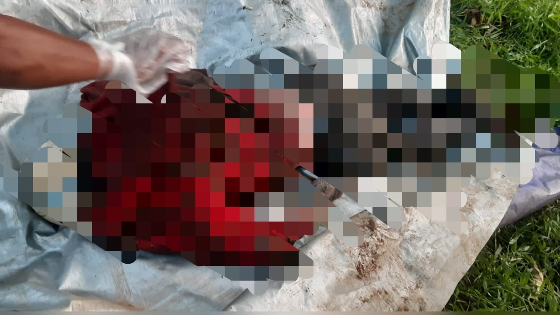 Mayat Pria Ditemukan di TPST Bantargebang, Saat Ditemukan sedang Dimakan Biawak