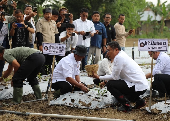 Wamentan Minta Lahan Tidur di Deli Serdang Dioptimalkan Jadi Produktif