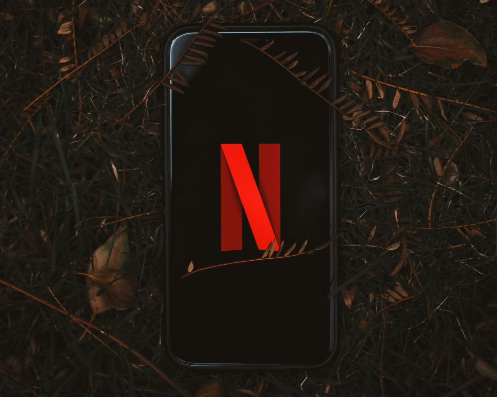 Cara Membuka Konten Tersembunyi di Netflix dengan Menu Rahasia