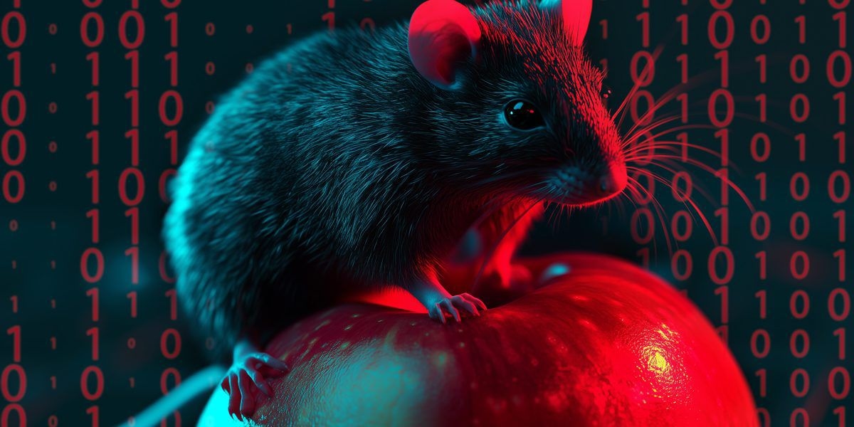 Varian Baru Malware HZ Rat Ditemukan, Menargetkan Pengguna WeChat dan DingTalk di macOS