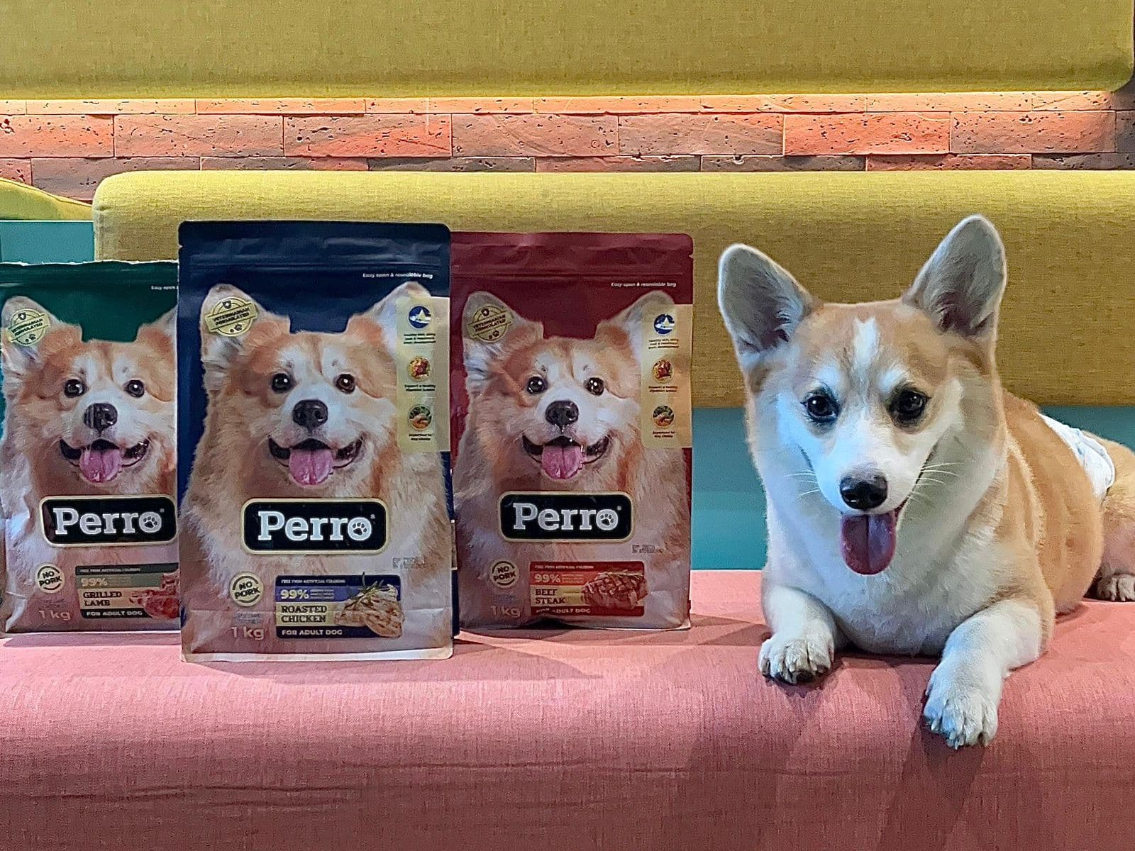 Kino Indonesia Luncurkan Perro, Makanan Anjing Premium untuk Nutrisi Optimal