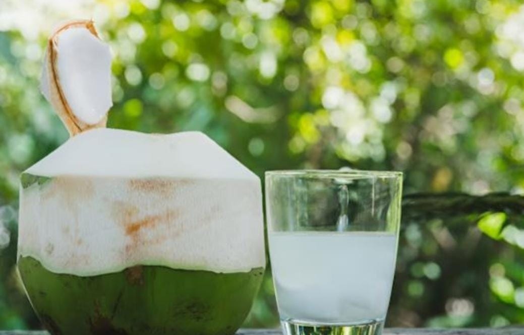 Tips dan Manfaat Minum Air Kepala Muda Saat Cuaca Panas Menurut Organisasi Kesehatan PAFI