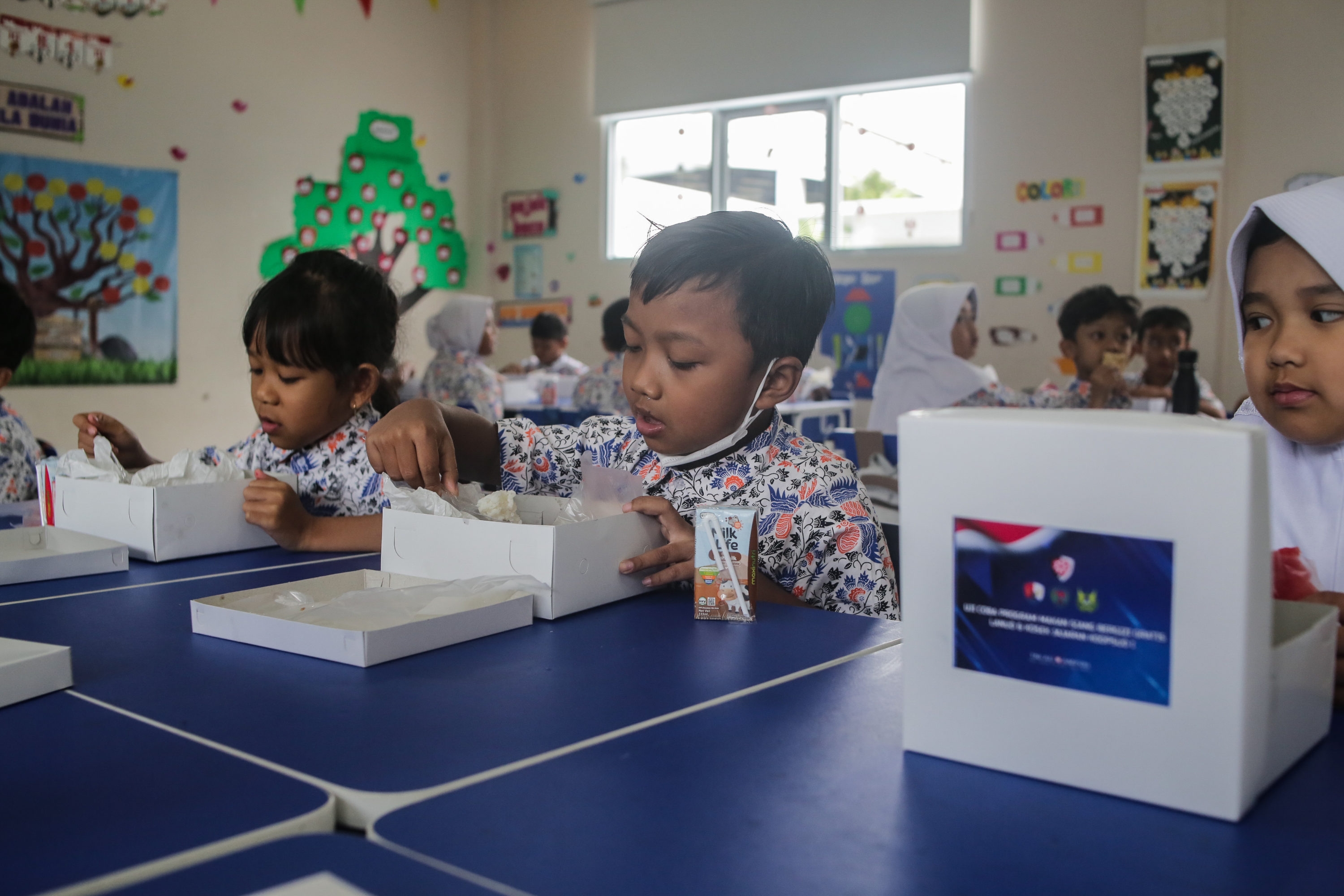 Manfaatkan Saja Dana CSR untuk Biayai Program Makan Bergizi Gratis