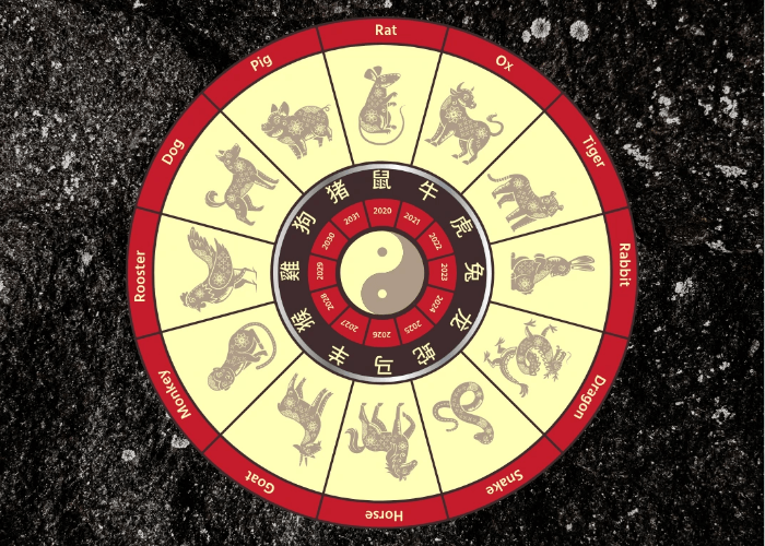 Peringatan Khusus: 4 Shio Ini Perlu Ekstra Hati-hati di Desember 2024