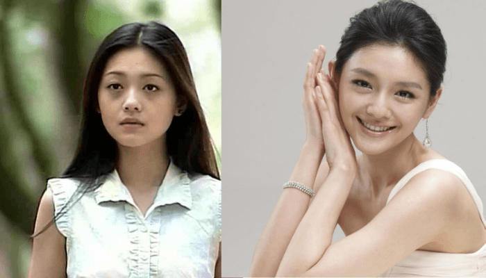 Profil dan Perjalanan Karir Barbie Hsu, Pemeran Shan Cai di Meteor Garden yang Meninggal Dunia di Usia 48 Tahun