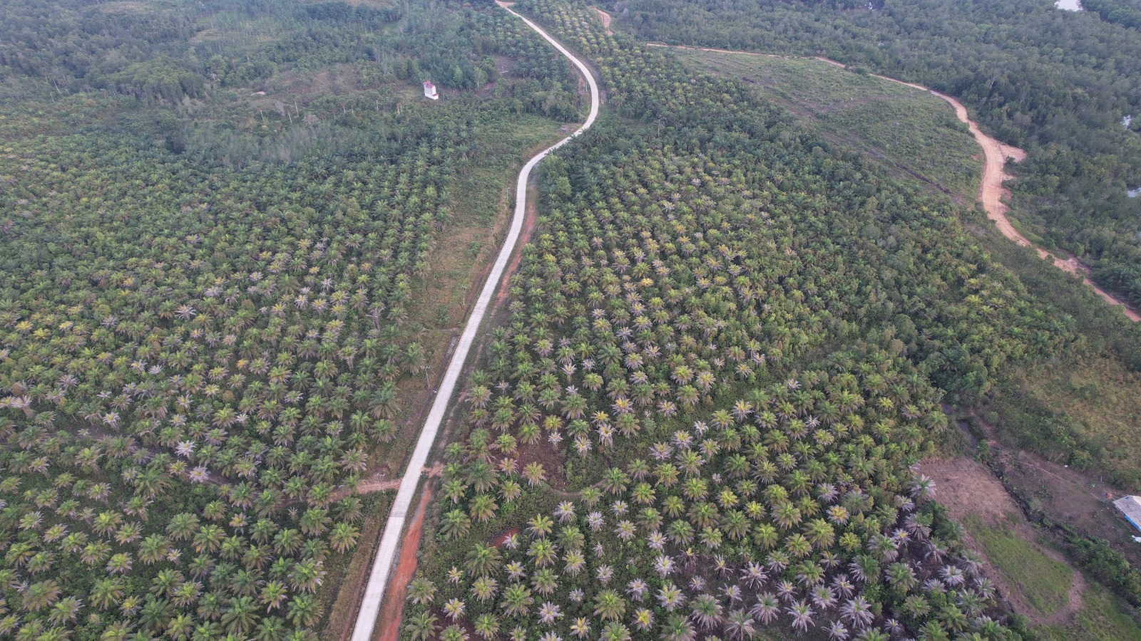 Badan Bank Tanah Pastikan Lahan di Penajam Paser Utara Siap untuk Reforma Agraria