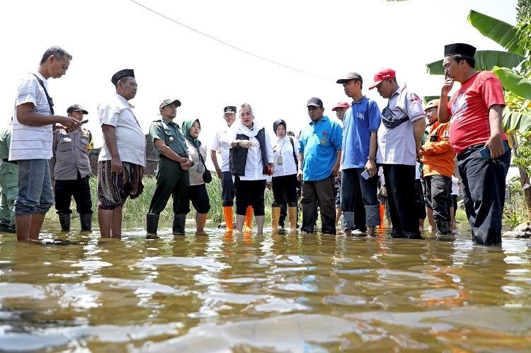 Wali kota Semarang Serius Atasi Banjir di Kelurahan Kudu, Kecamatan Genuk, Ini Langkah Cerdasnya