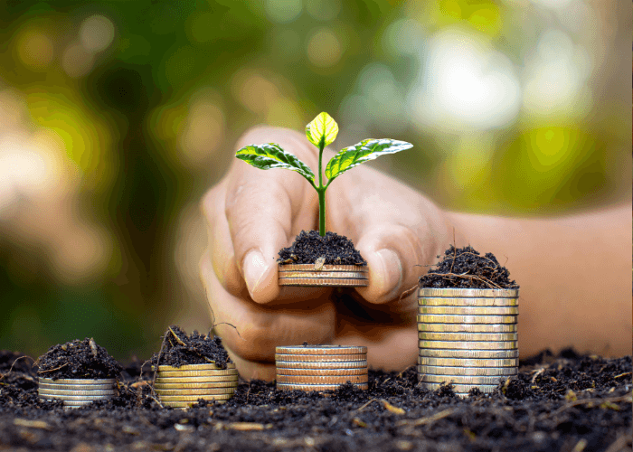 Ramalan Keuangan Zodiak Hari Ini, 28 November 2025: Leo, Taurus, Aries, dan Scorpio