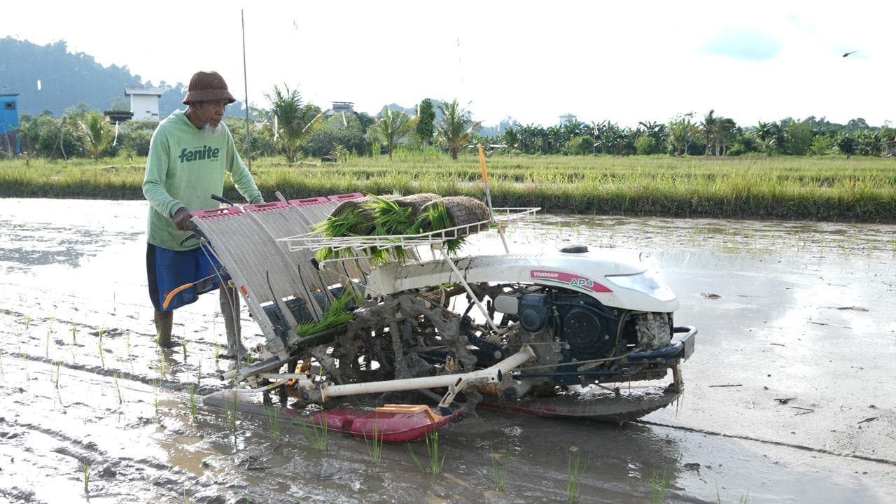 Tekan Harga Beras di Indonesia Timur, Kementan Perluas Program Cetak Sawah