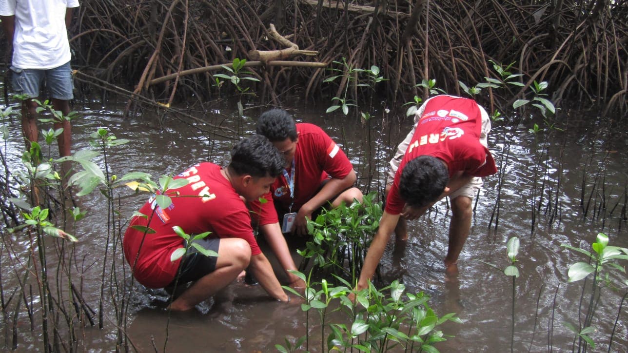 Eksplorasi Bumi Pertiwi di Pulau Pramuka: Pesona Permata Biru Kepulauan Seribu