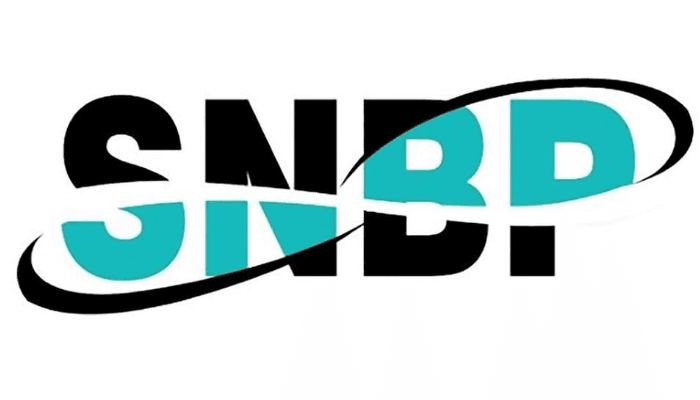 Lolos atau Tidak? Coba Cek Link Pengumuman SNBP 2025 dan Jadwal Daftar Ulangnya di Sini!