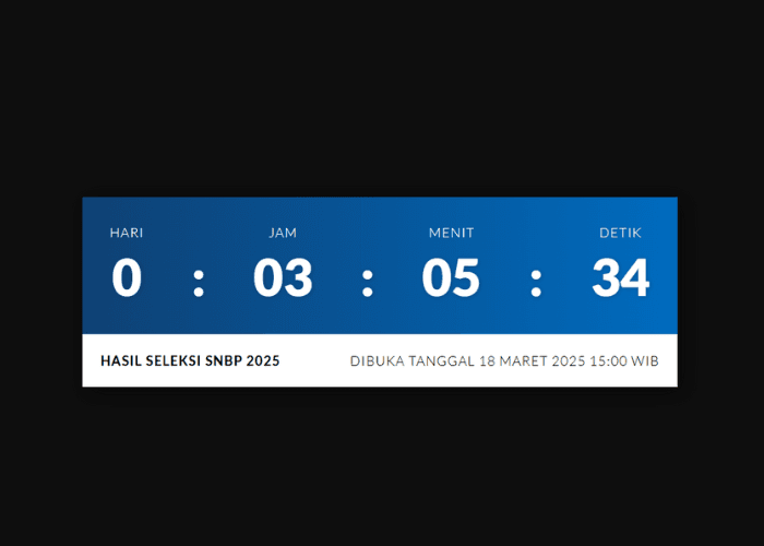 30 Link Mirror dan Cara Cek Hasil Pengumuman SNBP 2025, Antilemot