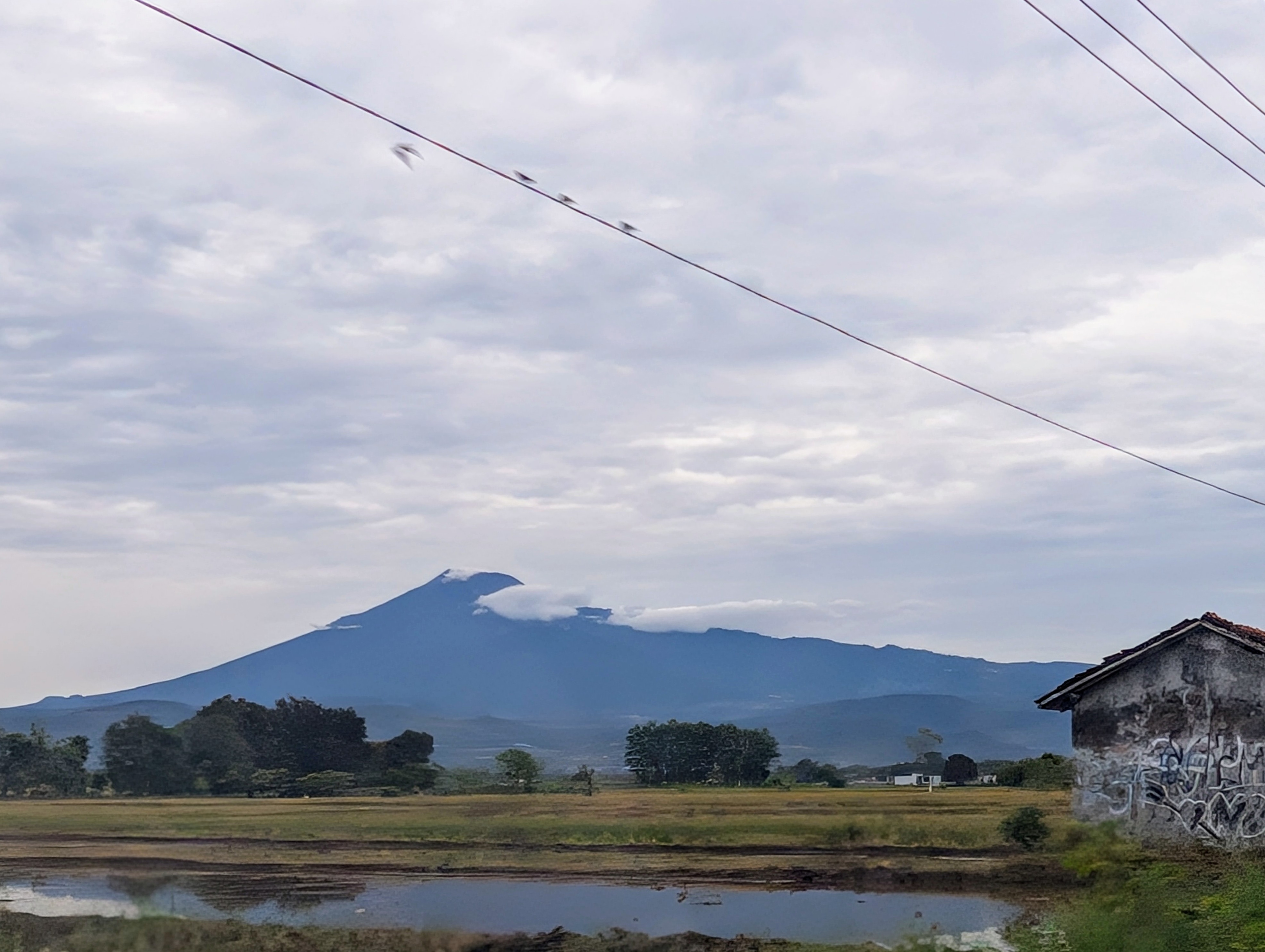 Tak Kenal Libur Lebaran 2025, Bulog Gaspol Serap Gabah Petani
