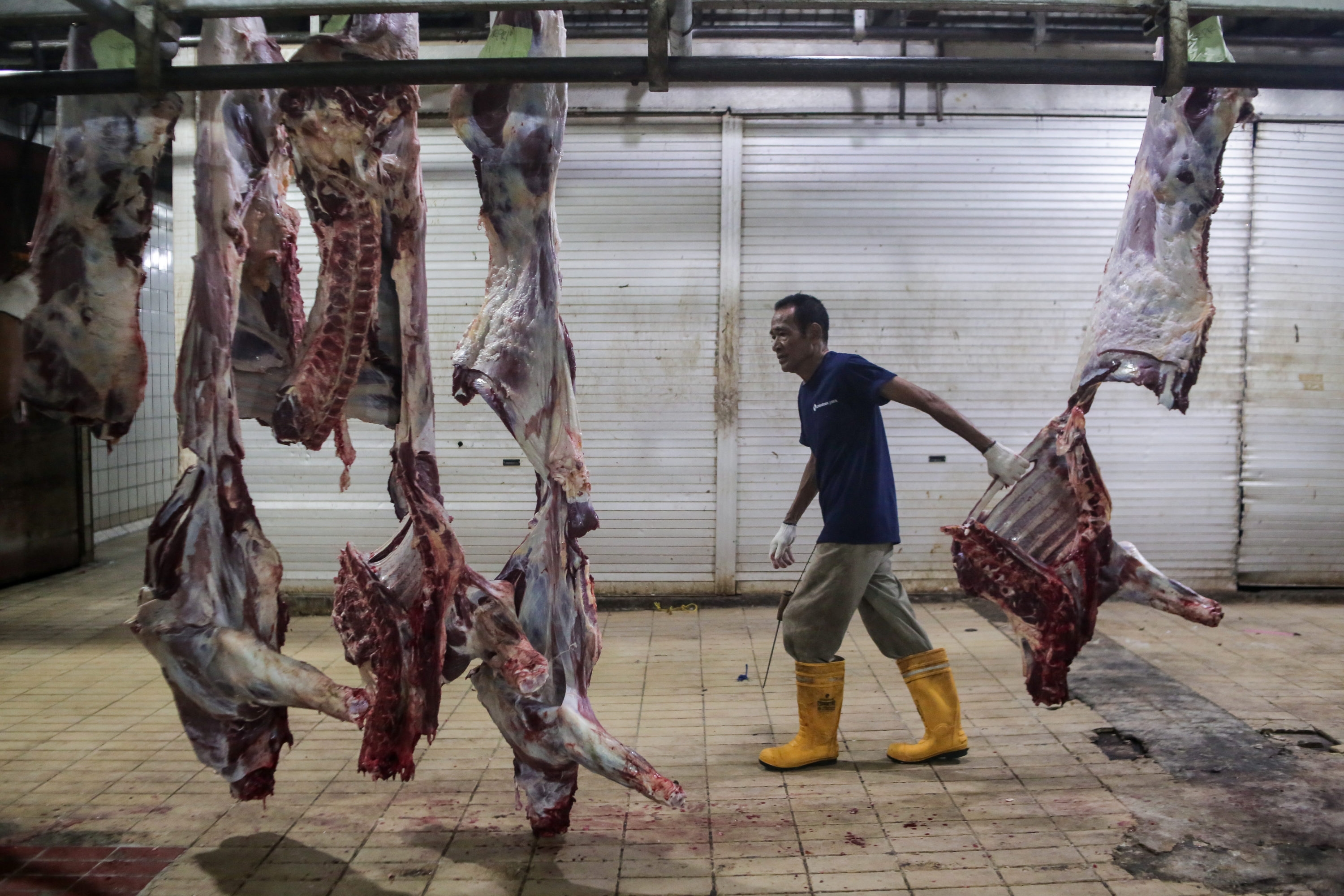 Perlambatan Ekonomi Tak Surutkan Minat Masyarakat Berkurban