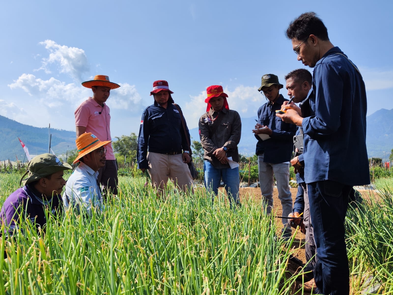 Berdampak Besar ke Petani, Ewindo Perbanyak Learning Farm