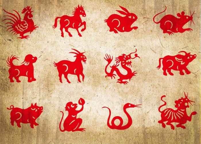 Ramalan Shio 23 Juni 2025: Fokus, Hati-hati, dan Peluang Baru Menanti