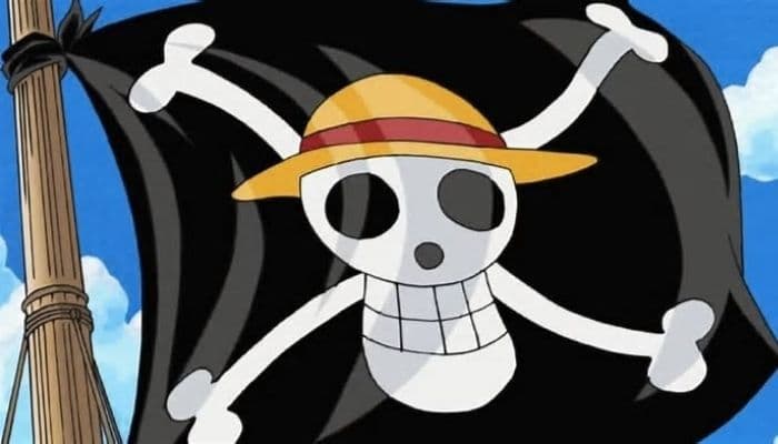 Bendera One Piece Berkibar Jelang HUT ke-80 RI, Pengamat Minta Negara Tidak Menghakimi